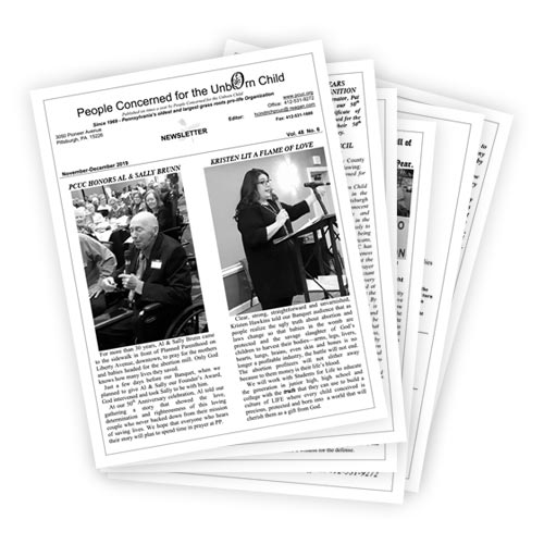 Image of newsletter pages, fanned out